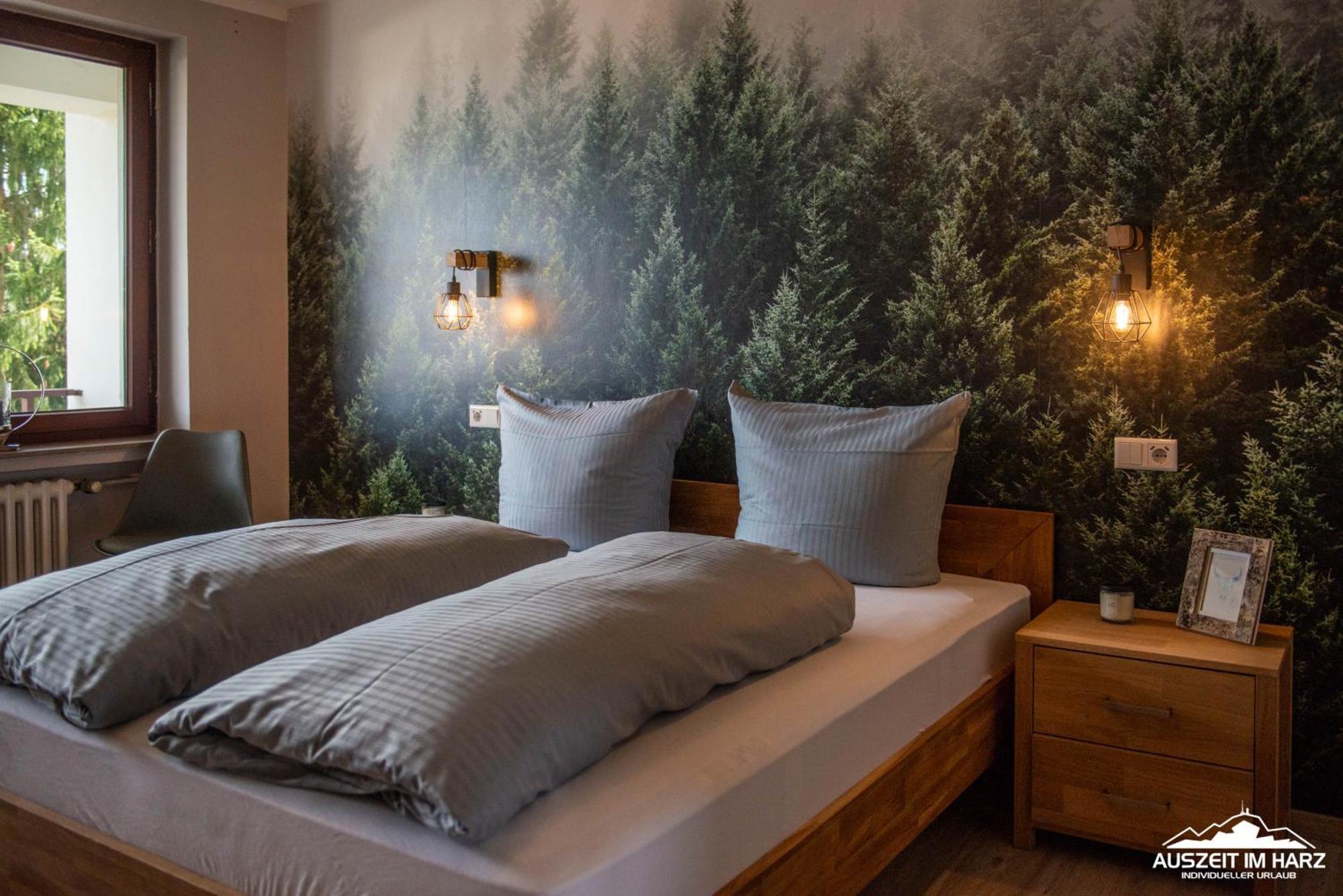 Auszeit-Im-Harz Haus 3 Wohnung 4 Braunlage Luaran gambar