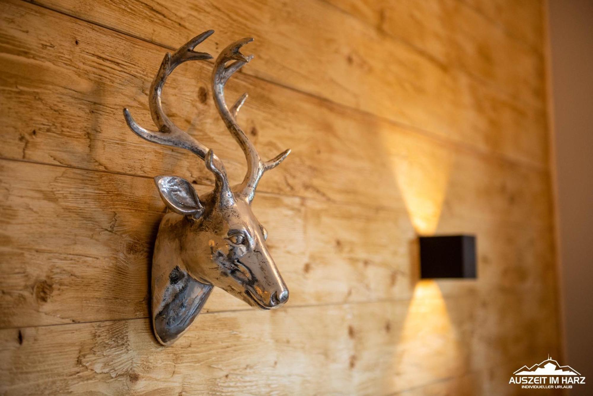 Auszeit-Im-Harz Haus 3 Wohnung 4 Braunlage Luaran gambar